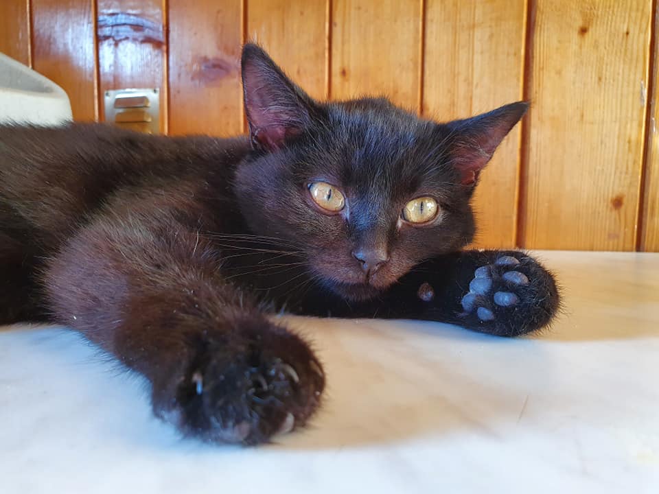 rio